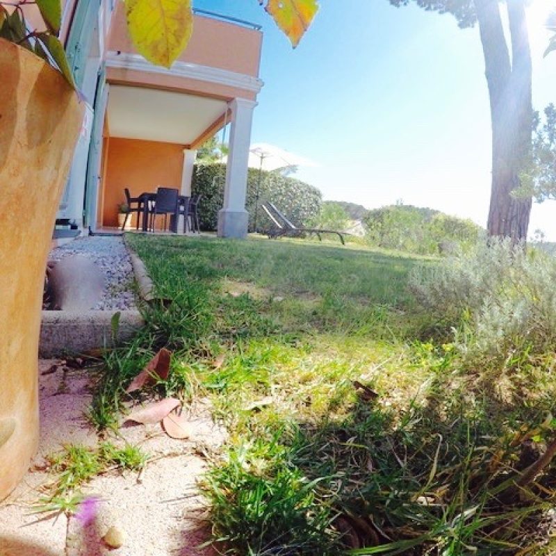 DCIM102GOPROGOPR3416.